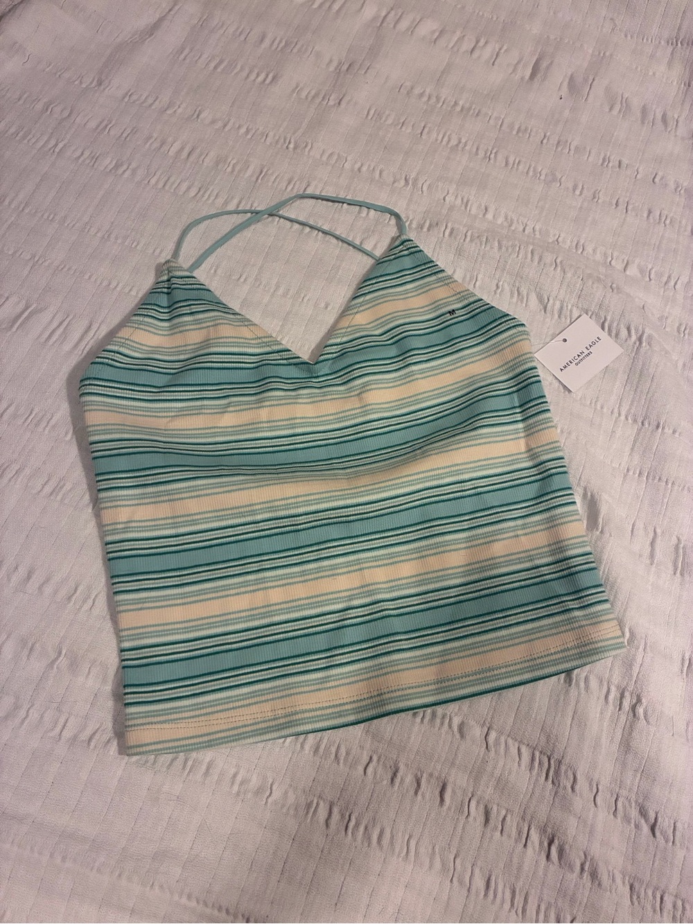 American Eagle Outfitters Striped V-Neck Cami in Aqua and Cream